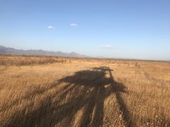 -野鸭湖国家湿地公园