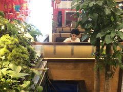 -洞庭家宴·头牌甲鱼(广渠门店)