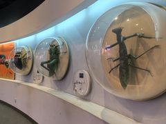 -陕西自然博物馆