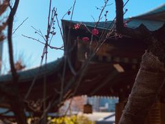 -上野公园花园稻荷神社(忍岡稲荷神社)