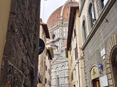 -圣母百花大教堂穹顶