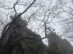 -山王坪喀斯特国家生态公园