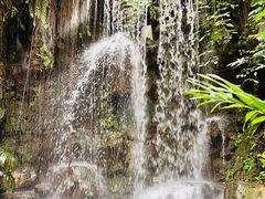 -华南国家植物园-售票处