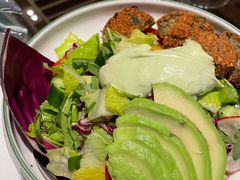 -ELI FALAFEL Lebanese&Mediterranean黎巴嫩美食(富城路店)