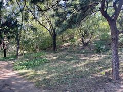 -元大都城垣遗址公园