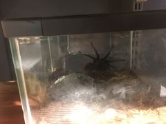 -山东嘉汇文化用品有限公司张店凤凰国际分公司(新村西路店)