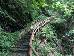 -黎坪国家森林公园