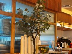 -JamaicaBlue(新城国际店)
