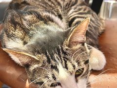 -六浦佳厨 ·地道粤菜(阳山鸡煲店)