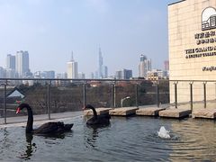 -行者书屋大堂吧 ·下午茶(南京圣和府邸酒店)