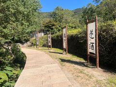 -塔川景区