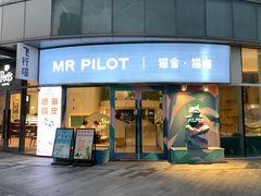 -飞行喵MR PILOT|猫舍·猫咖(静安大融城店)