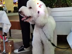 -宝龙广场(福州台江店)