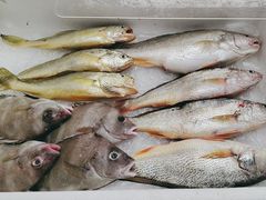 -鹰龙海畔度假酒店(咸祥店)