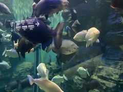 景点-成都浩海立方海洋公园