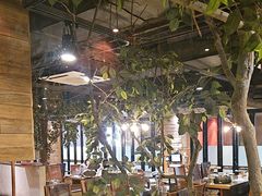-坦坦大炉·韩式烤肉(望京店)