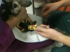 -惠康宠物医院(华能路店)