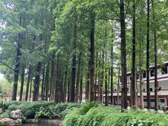 -东坡赤壁风景名胜区