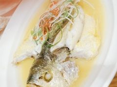 -兰亭茶叙(新新家苑店)