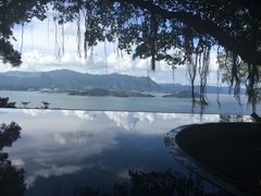 -大埔公路-马料水段香港中文大学(公交站)