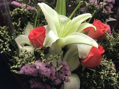 -杭州中升之星奔驰4S店(滨江店)