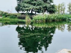 -金银湖国家城市湿地公园
