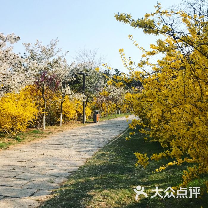 浮山香苑-图片-青岛周边游-大众点评网