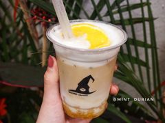 橙意浓浓-WIZARD COFFEE咖啡巫师