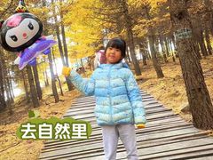 -苏木山森林公园