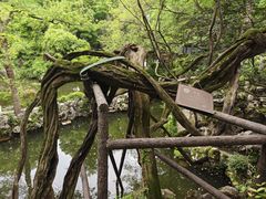-绮园景区
