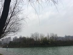 -天鹅湖体育公园