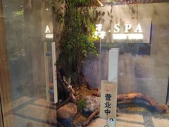 -森SPA·泰式按摩·精油Massage(宝安中心店)