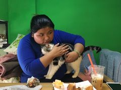 -李小姐の猫咖啡馆(五角场店)