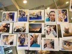 -PETKIT小佩宠物(古北店)