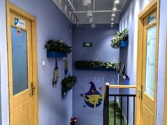 -I-Shine英语国际教育(大三林中心)