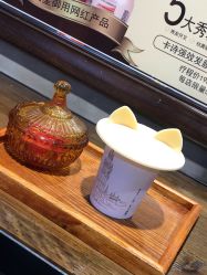 -艾嘉形象