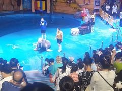 -烟台海昌鲸鲨海洋公园