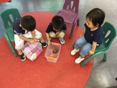 -黄浦乐烁龙鱼宝贝托育园(海潮路校区)