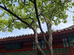 -宣武艺园