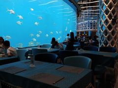 -瑞德姆美人鱼海底演艺主题餐厅(亚龙湾店)