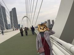 -南京眼步行桥