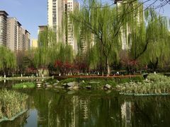 -木塔寺遗址生态公园