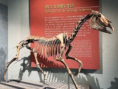 -齐齐哈尔市博物馆