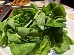 豌豆尖-龙森园火锅(琴台路店)