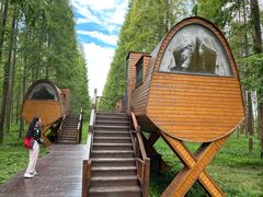 -黄海国家森林公园