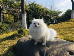 -常州花鸟园酒店(西太湖品牌优选店)