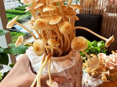 -烹然四季椰子鸡火锅(团结湖总店)