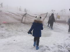 -西岭雪山大飞水景区