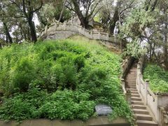 -黄帝陵