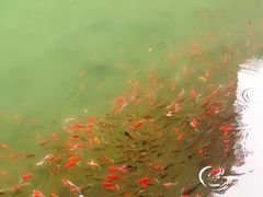 -武隆天坑地缝国家地质公园